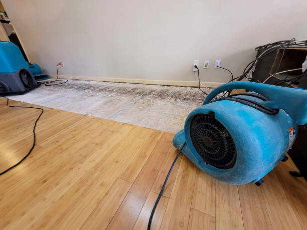 Professional Water Damage Repair technician working in Williamsport, PA